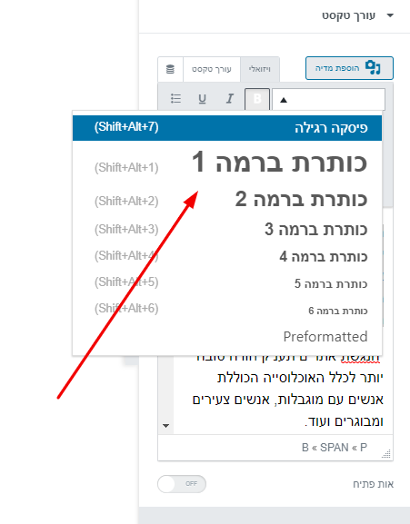 קביעת תגית כותרת מתאימה