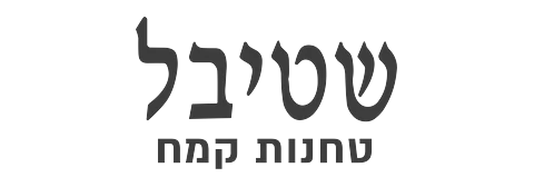 שטיבל