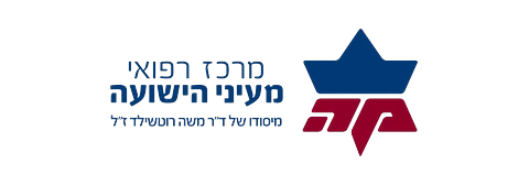 מעייני הישועה