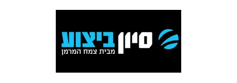 סיוון ביצוע